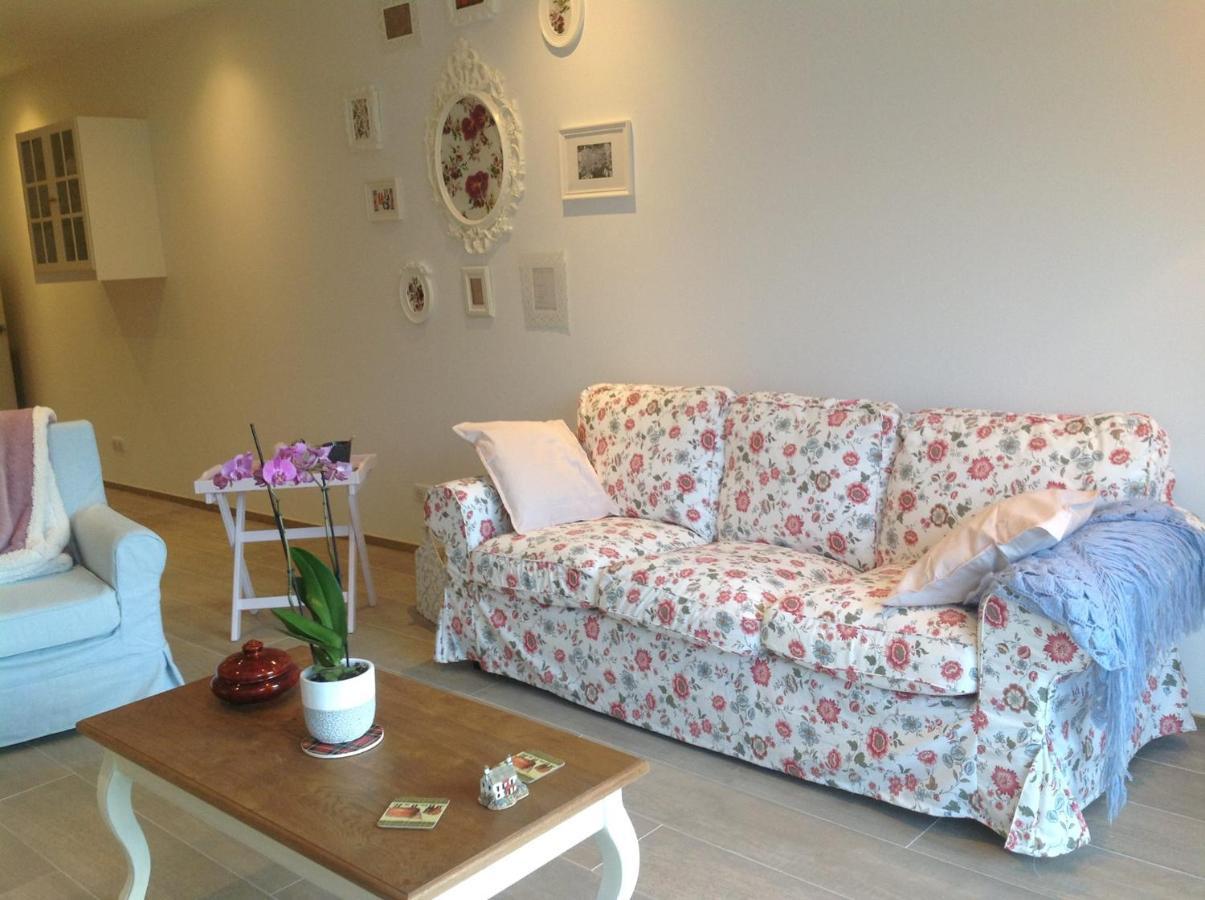 "La Combe Fleurie" Appartements & Chambres 尚普索地区圣博内 外观 照片