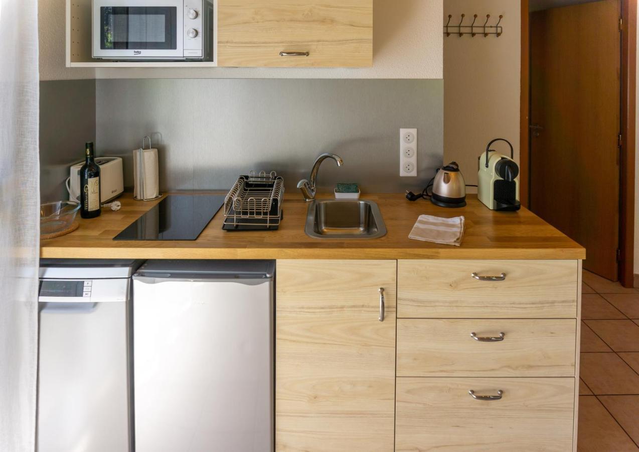 "La Combe Fleurie" Appartements & Chambres 尚普索地区圣博内 外观 照片